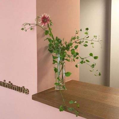 澳门正版资料大全