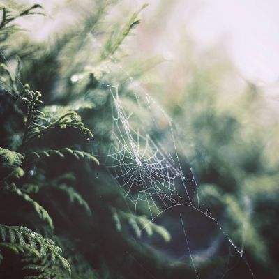 ManBetX客户端登录app下载